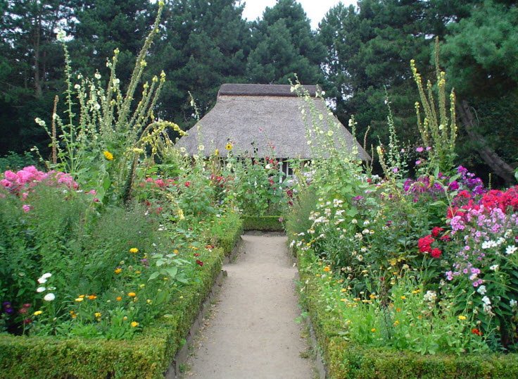 Loki Schmidt Garden Botanical of University Hamburg, Hamburg, Germany, Germany